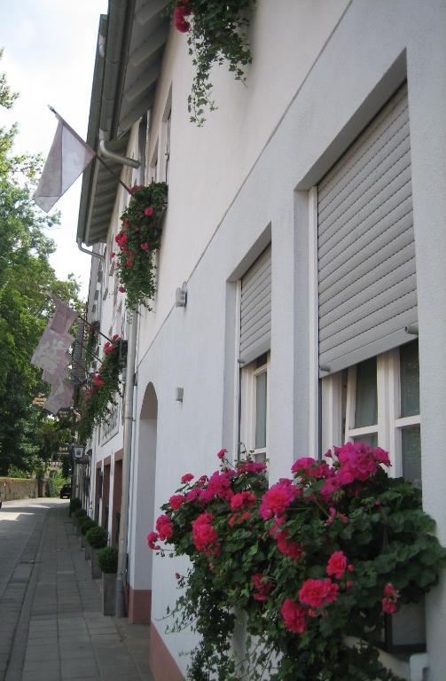 Hotel Wappenstube Erbach  Luaran gambar